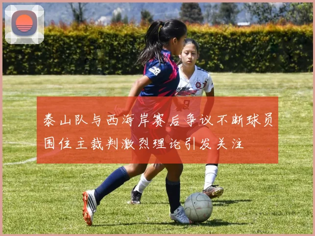 泰山队与西海岸赛后争议不断球员围住主裁判激烈理论引发关注