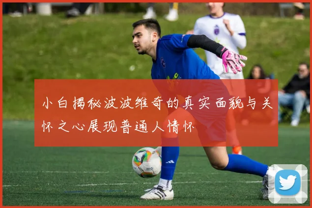 小白揭秘波波维奇的真实面貌与关怀之心展现普通人情怀